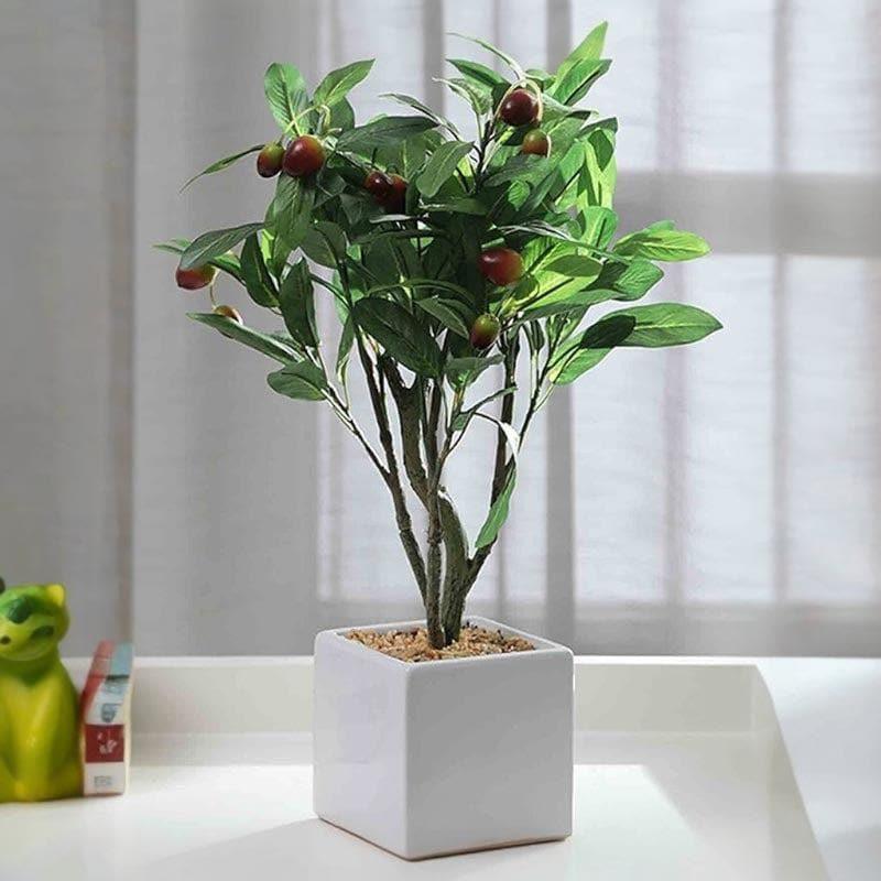 Buy Faux Olive Bonsai In Square Pot - 16 cms Artificial Plants from Vaaree