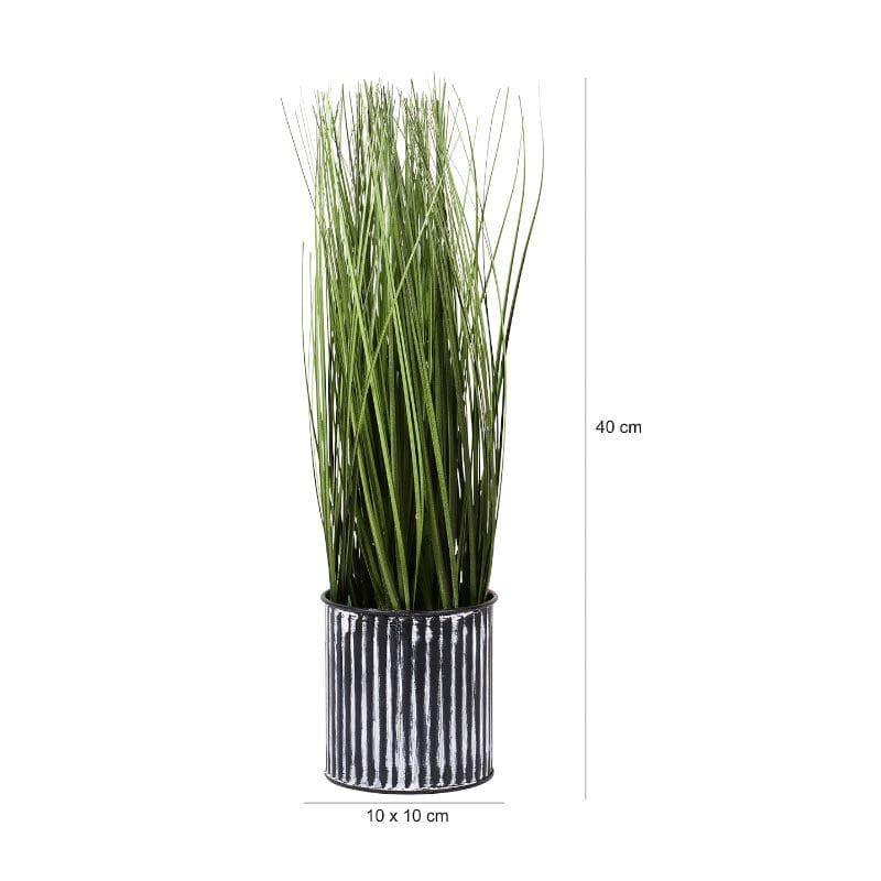 Artificial Plants - Faux Onion Grass Bonsai (38 cms) - Short