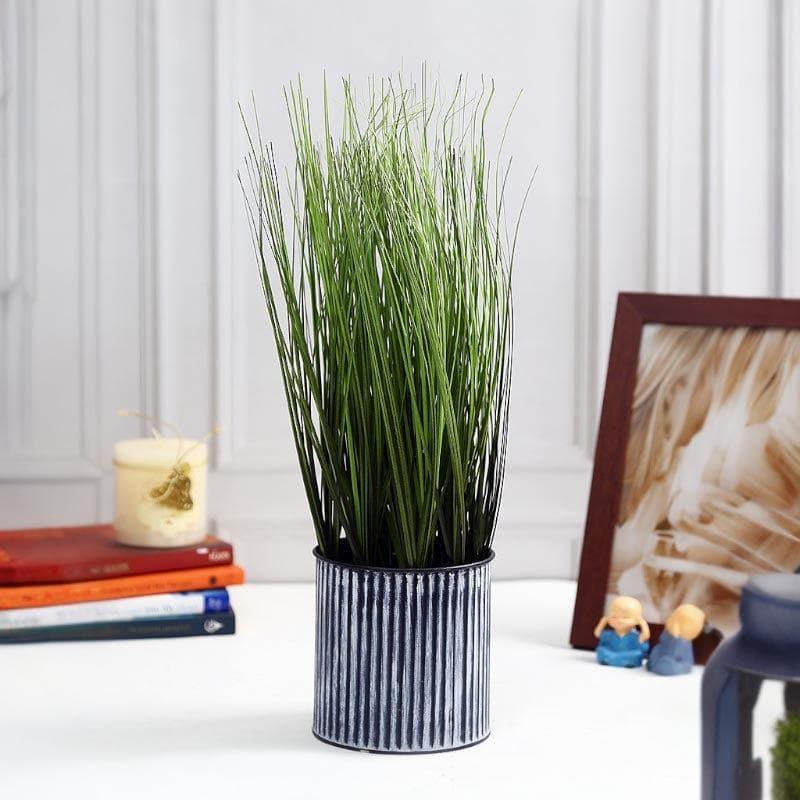 Buy Faux Onion Grass Bonsai (48 cms) - Tall Artificial Plants from Vaaree