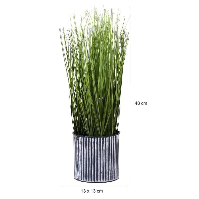 Buy Faux Onion Grass Bonsai (48 cms) - Tall Artificial Plants from Vaaree