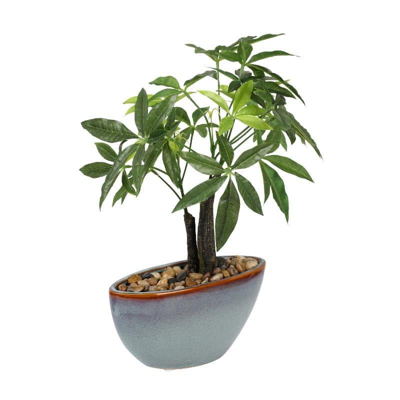 Buy Faux Pachira Bonsai In Bowl Pot - 37 cms Artificial Plants from Vaaree