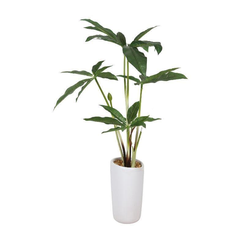 Buy Faux Pachira Bonsai In Tube Pot - 38 cms Artificial Plants from Vaaree