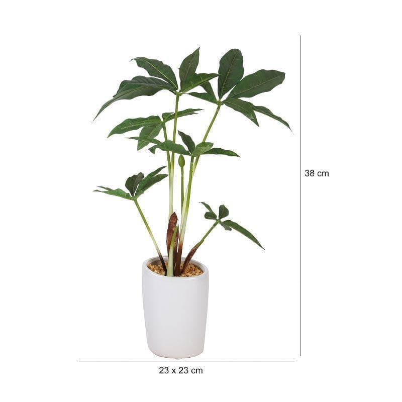 Artificial Plants - Faux Pachira Bonsai In Tube Pot - 38 cms