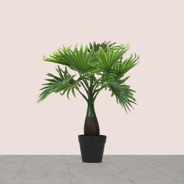 Artificial Plants - Faux Palm Bonsai In Cone Pot - 40 cms