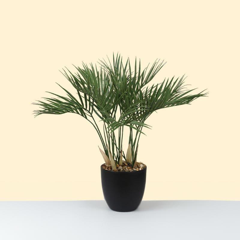 Buy Faux Palm Bonsai In Tub Pot - 60 cms Artificial Plants from Vaaree