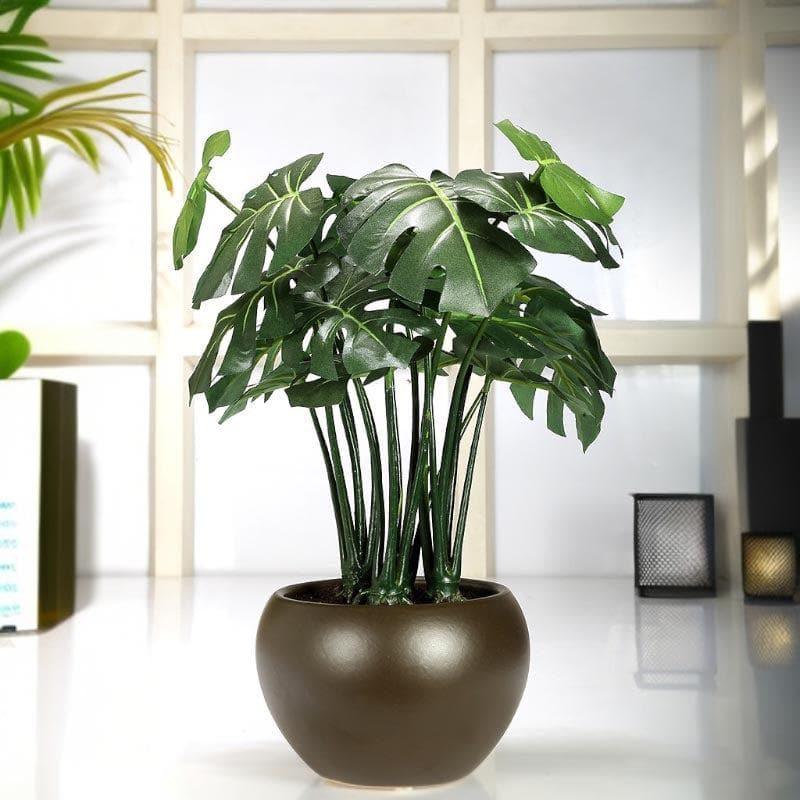 Artificial Plants - Faux Philodendron Bonsai In Ceramic Pot - 37 cms