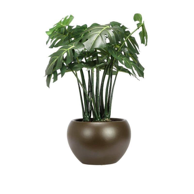 Artificial Plants - Faux Philodendron Bonsai In Ceramic Pot - 37 cms