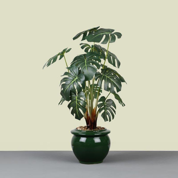 Artificial Plants - Faux Philodendron Bonsai In Ceramic Pot (59 cms) - Big