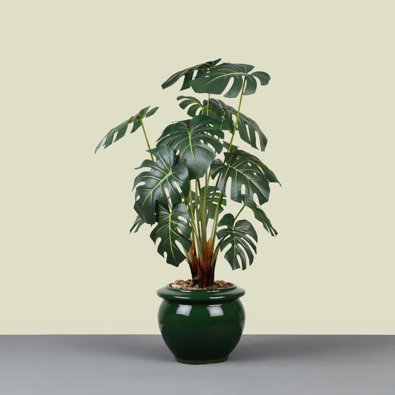 Buy Faux Philodendron Bonsai In Ceramic Pot (59 cms) - Big Artificial Plants from Vaaree