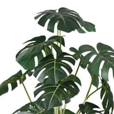 Buy Faux Philodendron Bonsai In Ceramic Pot (59 cms) - Big Artificial Plants from Vaaree