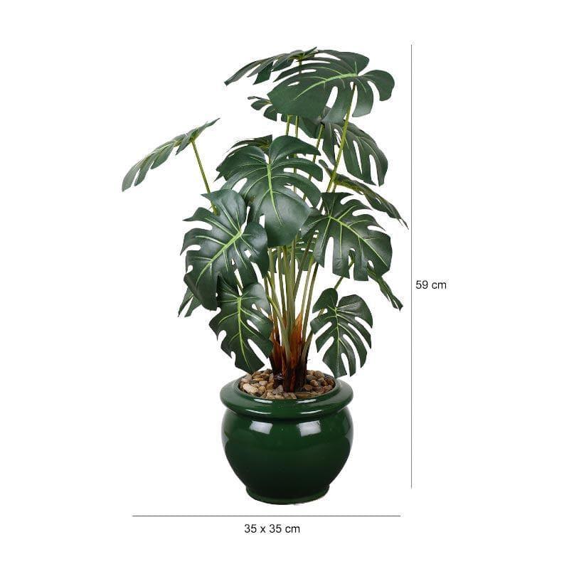 Buy Faux Philodendron Bonsai In Ceramic Pot (59 cms) - Big Artificial Plants from Vaaree