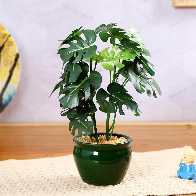 Artificial Plants - Faux Philodendron Bonsai In Ceramic Pot (28 cms) - Small