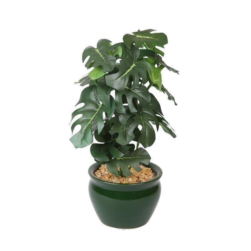 Artificial Plants - Faux Philodendron Bonsai In Ceramic Pot (28 cms) - Small