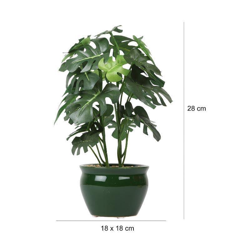 Artificial Plants - Faux Philodendron Bonsai In Ceramic Pot (28 cms) - Small