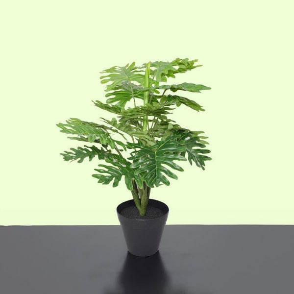 Artificial Plants - Faux Philodendron Bonsai In Plastic Pot - 45 cms