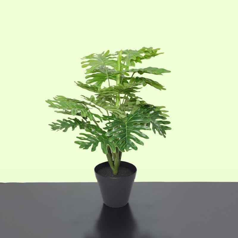 Buy Faux Philodendron Bonsai In Plastic Pot - 45 cms Artificial Plants from Vaaree