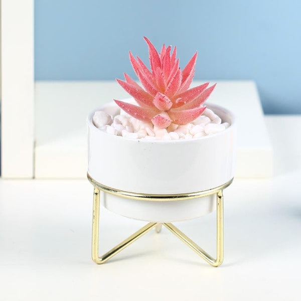 Buy Faux Pink Agave In Ceramic Pot With Stand - 12.5 cms Artificial Plants from Vaaree