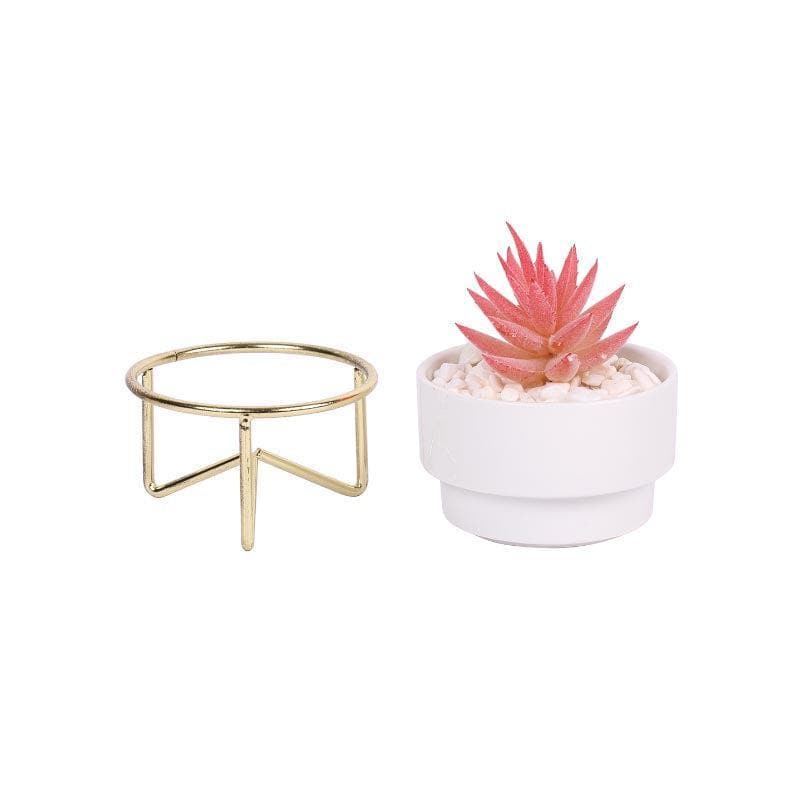 Buy Faux Pink Agave In Ceramic Pot With Stand - 12.5 cms Artificial Plants from Vaaree