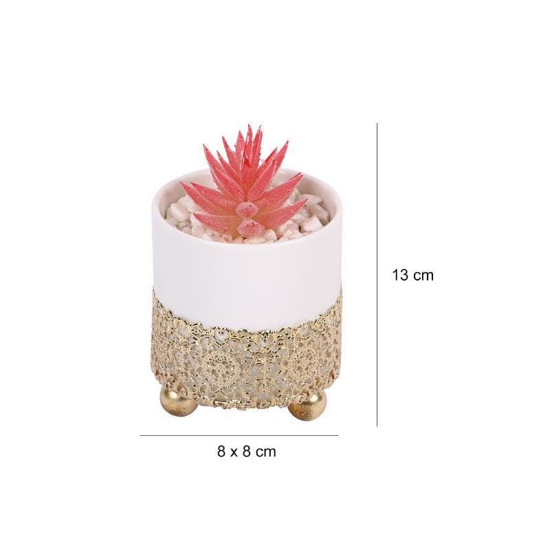 Artificial Plants - Faux Pink Agave In Decorative Pot - 12 cms