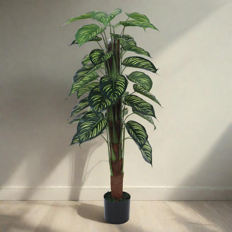 Artificial Plants - Faux Pola Calatheas Plant With Pot - 2.95 ft