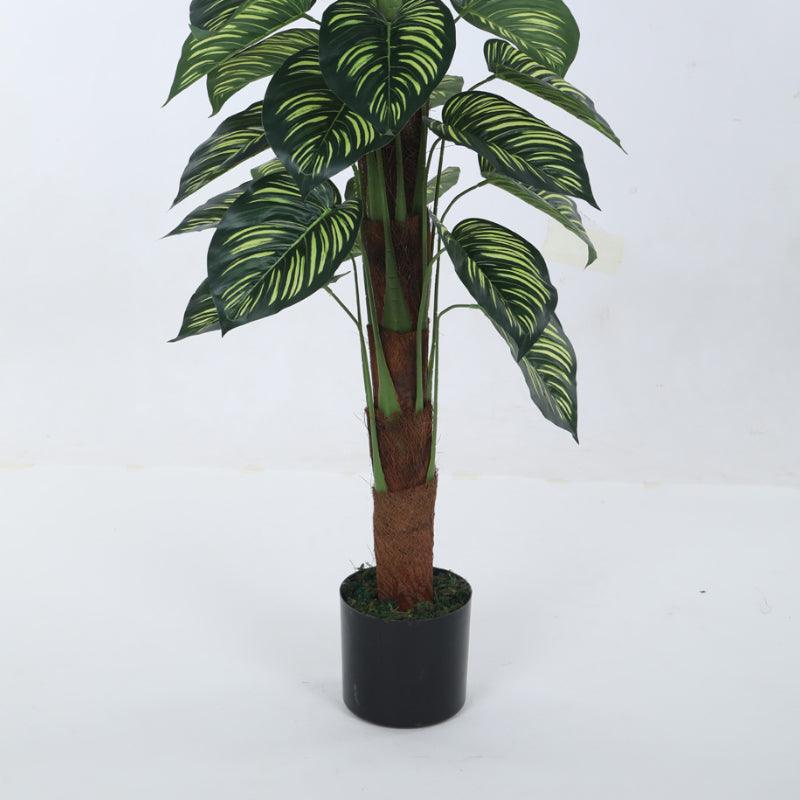 Artificial Plants - Faux Pola Calatheas Plant With Pot - 2.95 ft