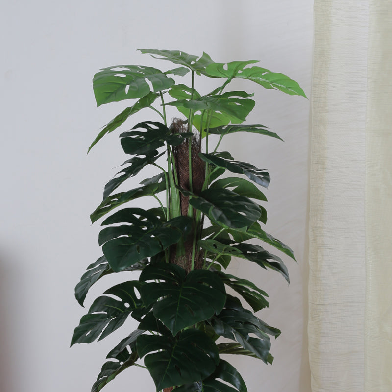 Buy Faux Pola Monstera Plant With Pot - 2.95 ft Artificial Plants from Vaaree