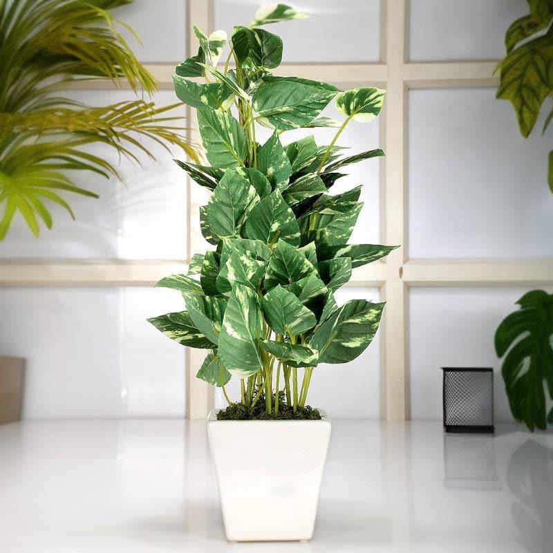 Artificial Plants - Faux Pothos Bonsai In Cone Pot (50 cms) - Big