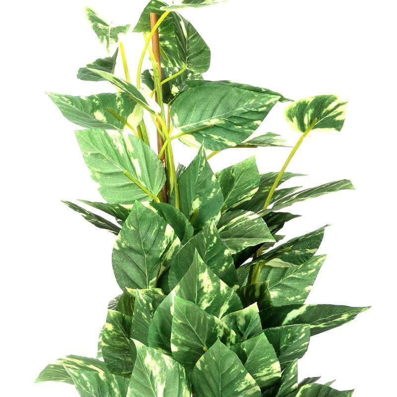 Buy Faux Pothos Bonsai In Cone Pot (50 cms) - Big Artificial Plants from Vaaree