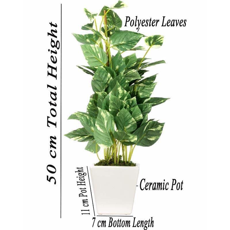 Buy Faux Pothos Bonsai In Cone Pot (50 cms) - Big Artificial Plants from Vaaree