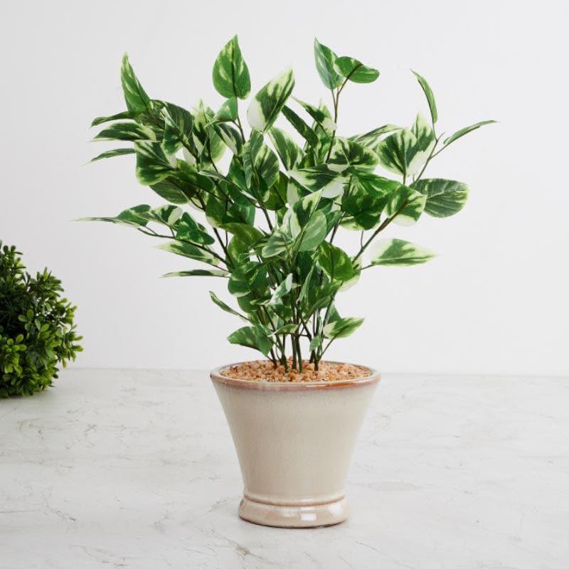 Artificial Plants - Faux Pothos Bonsai In Cone Pot (42 cms) - Small