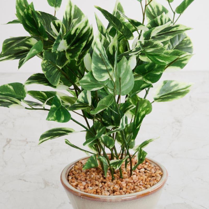 Artificial Plants - Faux Pothos Bonsai In Cone Pot (42 cms) - Small