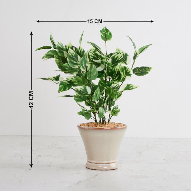 Artificial Plants - Faux Pothos Bonsai In Cone Pot (42 cms) - Small