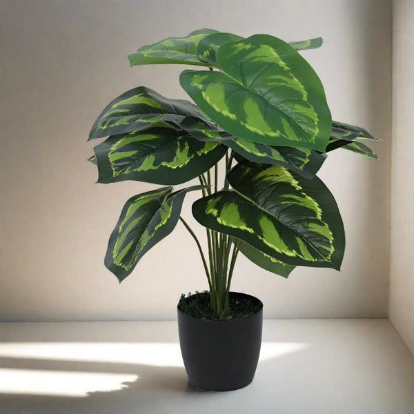 Artificial Plants - Faux Prayer Calatheas Silk Plant With Pot - 55 cms