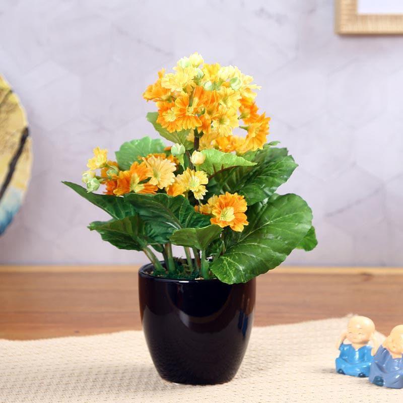 Artificial Plants - Faux Primula Bonsai In Ceramic Pot (30 cms) - Orange