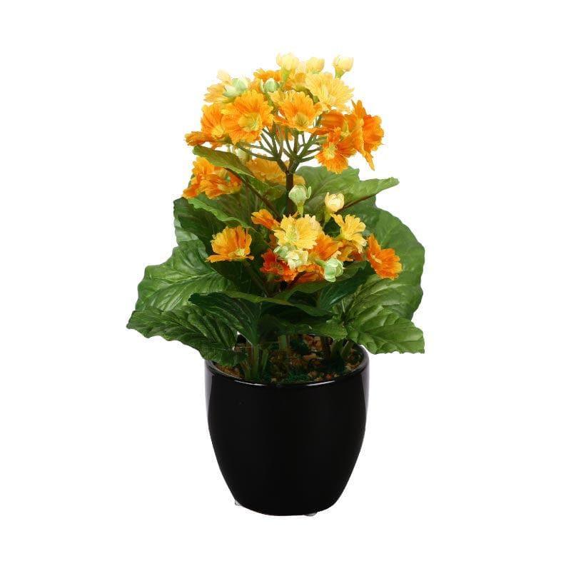 Artificial Plants - Faux Primula Bonsai In Ceramic Pot (30 cms) - Orange