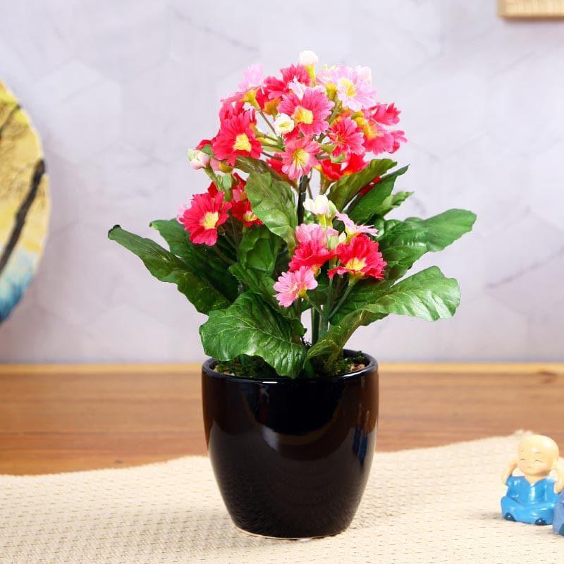 Artificial Plants - Faux Primula Bonsai In Ceramic Pot (30 cms) - Pink