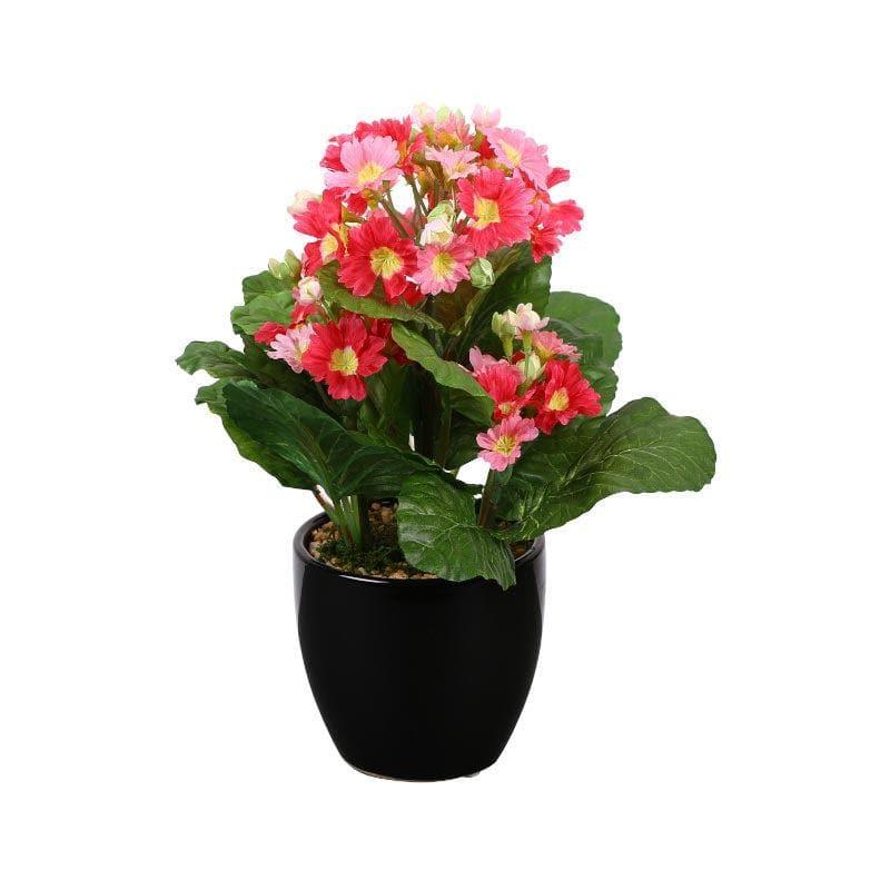 Artificial Plants - Faux Primula Bonsai In Ceramic Pot (30 cms) - Pink