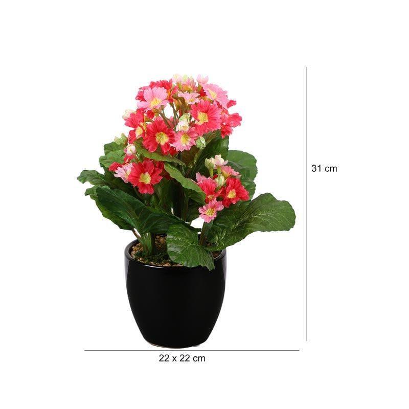 Artificial Plants - Faux Primula Bonsai In Ceramic Pot (30 cms) - Pink