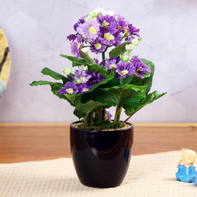 Buy Faux Primula Bonsai In Ceramic Pot (30 cms) - Purple Artificial Plants from Vaaree