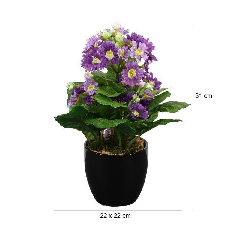 Buy Faux Primula Bonsai In Ceramic Pot (30 cms) - Purple Artificial Plants from Vaaree