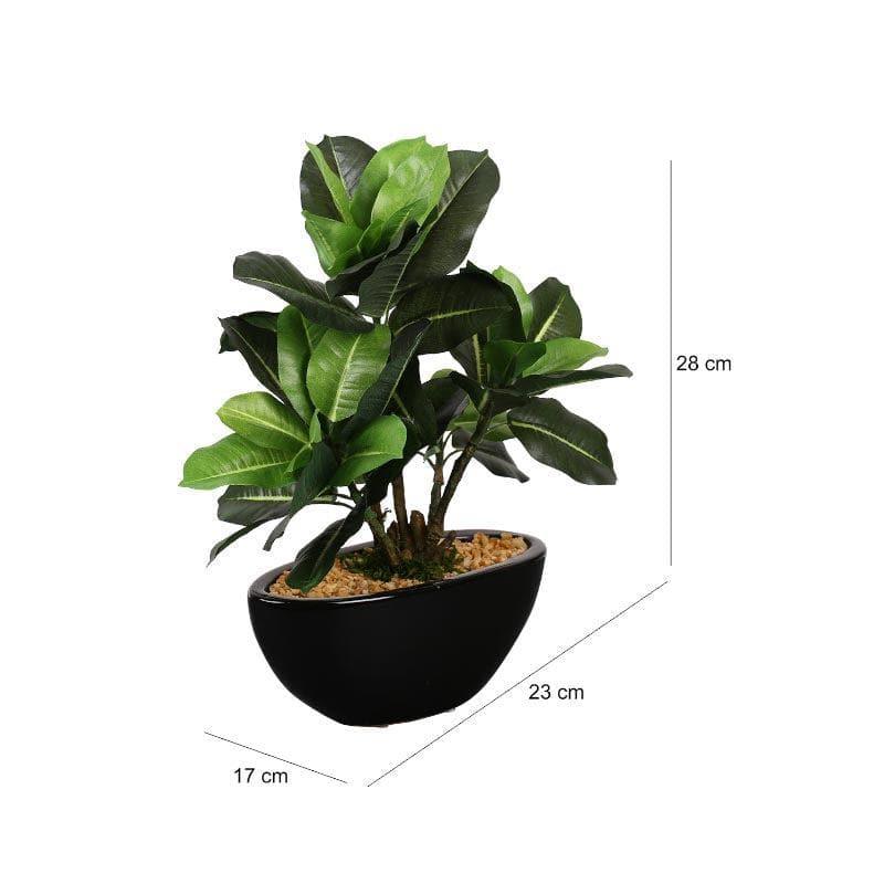 Buy Faux Quercus Bonsai In Bowl Pot (29 cms) - Green Artificial Plants from Vaaree