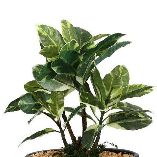 Artificial Plants - Faux Quercus Bonsai In Bowl Pot (29 cms) - White