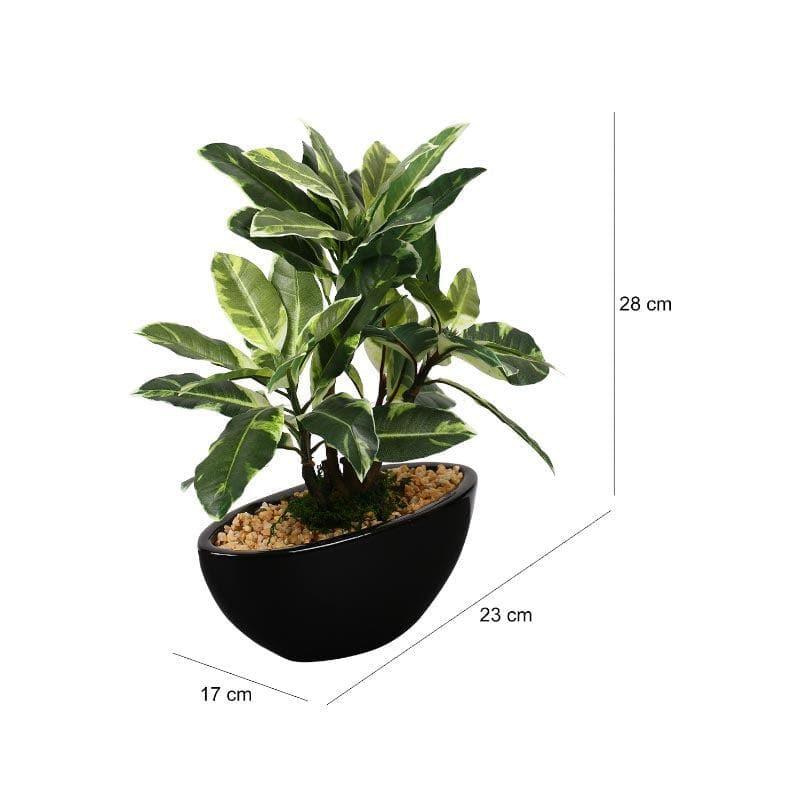 Buy Faux Quercus Bonsai In Bowl Pot (29 cms) - White Artificial Plants from Vaaree