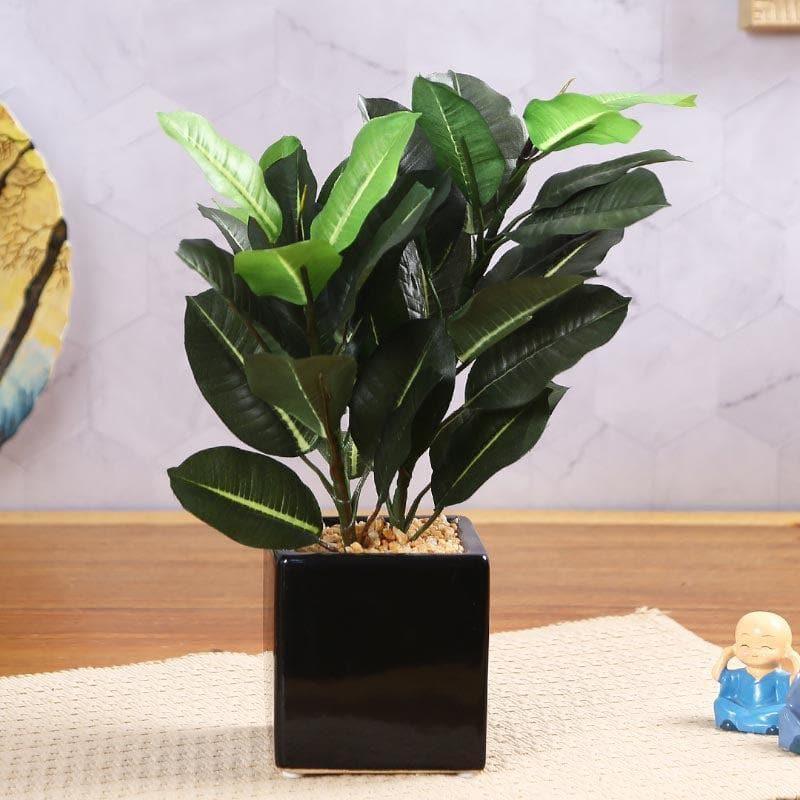 Buy Faux Quercus Bonsai In Square Pot - 31 cms Artificial Plants from Vaaree