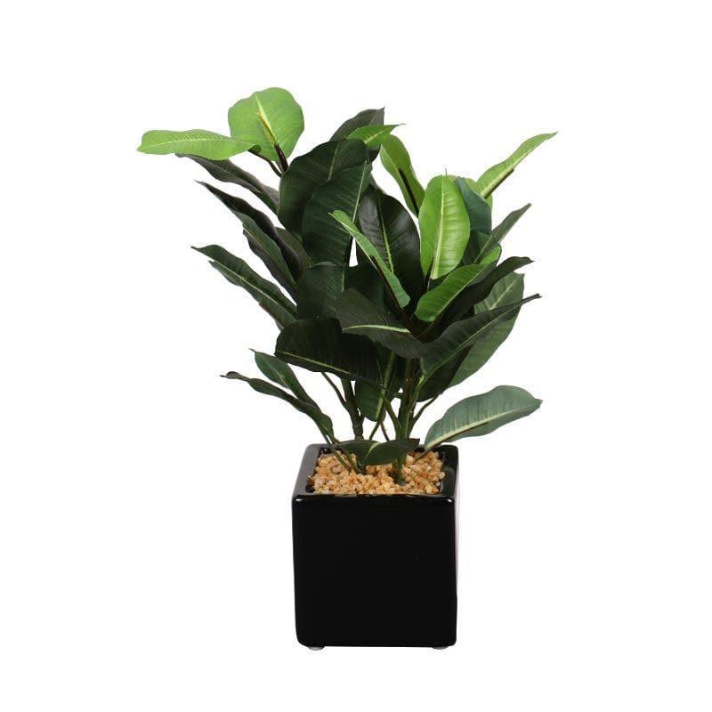 Artificial Plants - Faux Quercus Bonsai In Square Pot - 31 cms