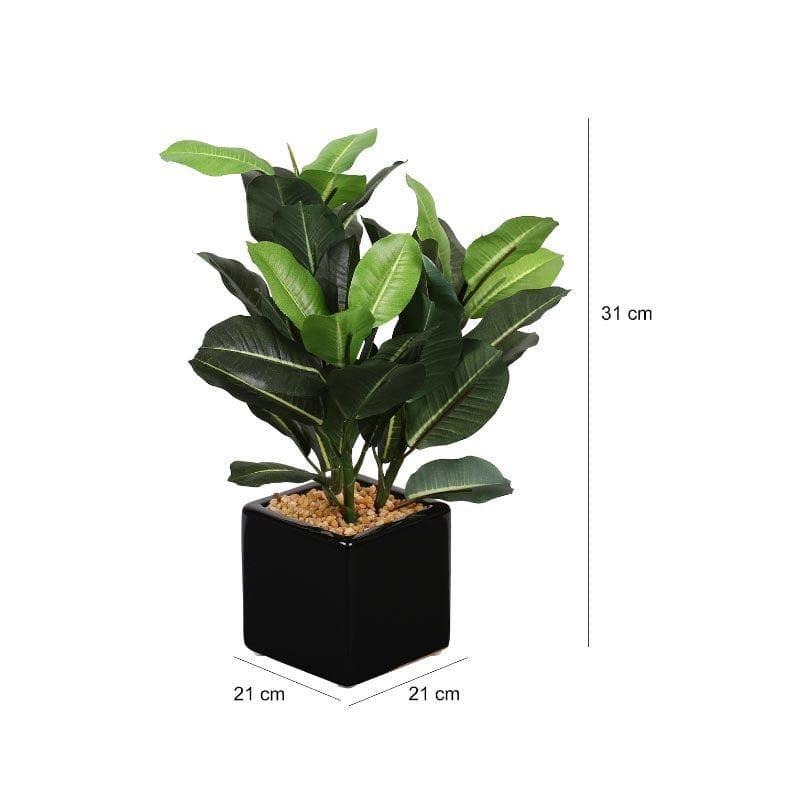 Buy Faux Quercus Bonsai In Square Pot - 31 cms Artificial Plants from Vaaree