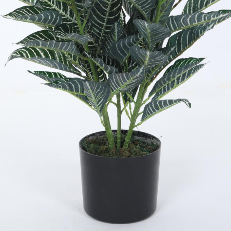 Buy Faux Quercus Plant With Pot - 2.79 ft Artificial Plants from Vaaree