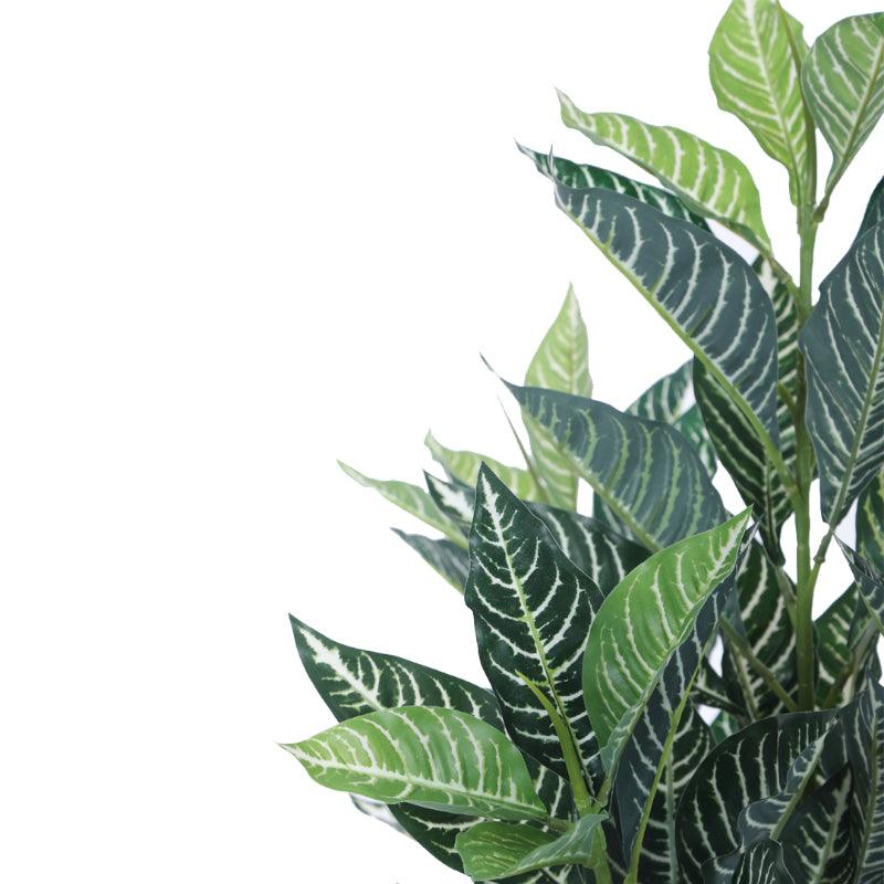 Buy Faux Quercus Plant With Pot - 2.79 ft Artificial Plants from Vaaree