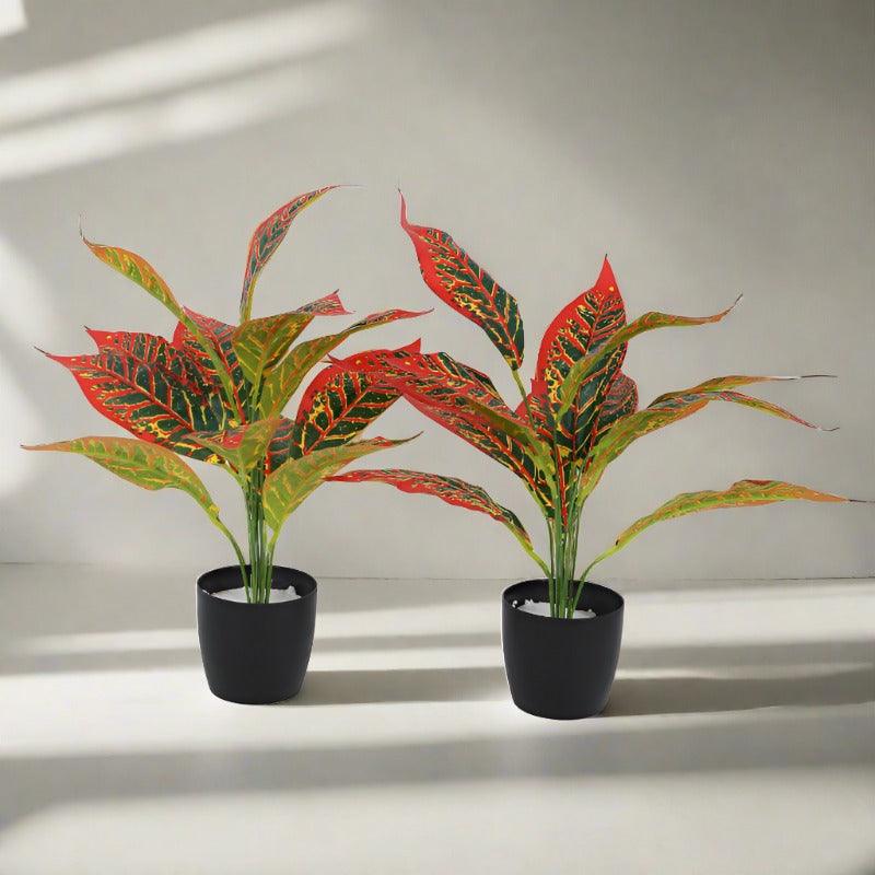 Artificial Plants - Faux Red Croton Plant With Pot (50 cms) - Set Of Two