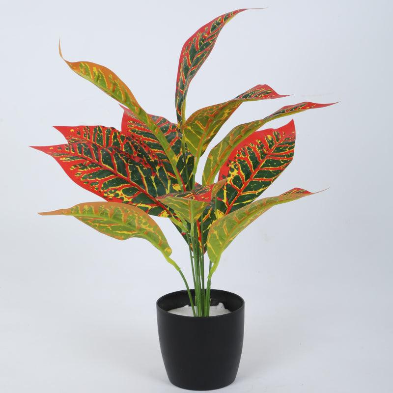 Artificial Plants - Faux Red Croton Plant With Pot (50 cms) - Set Of Two